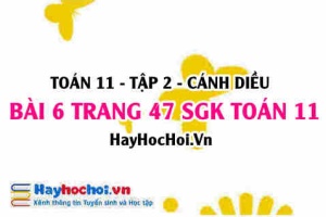 Bài 6 trang 47 Toán 11 tập 2 Cánh Diều